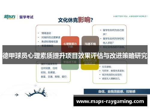 德甲球员心理素质提升项目效果评估与改进策略研究