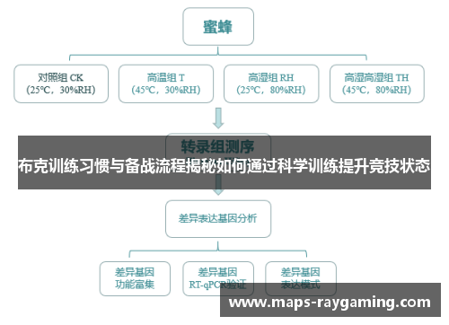 布克训练习惯与备战流程揭秘如何通过科学训练提升竞技状态