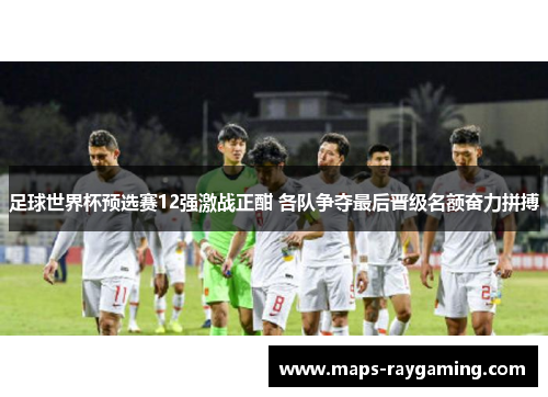 足球世界杯预选赛12强激战正酣 各队争夺最后晋级名额奋力拼搏