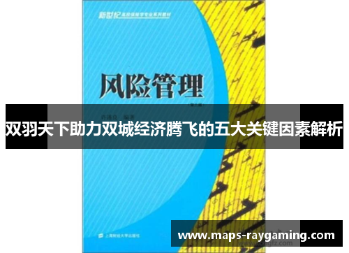 双羽天下助力双城经济腾飞的五大关键因素解析